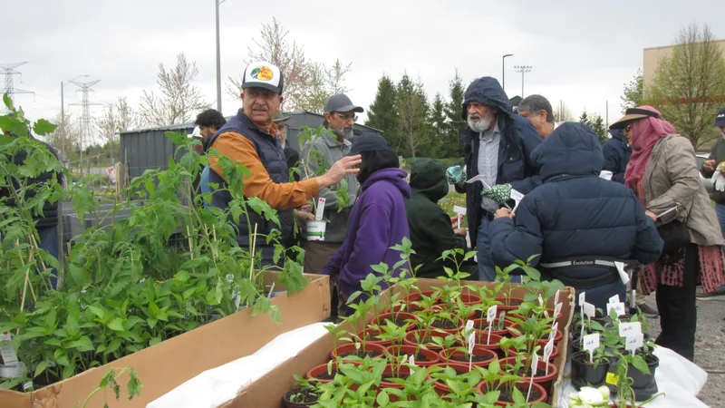 People gathered around tables of potted plants